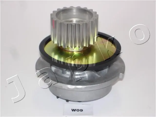 35W09 Japko