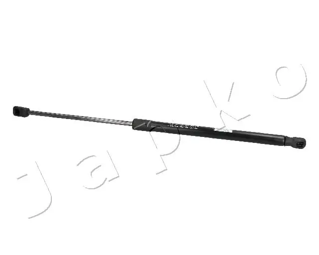 ZSJ09153 Japko