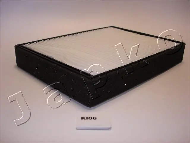 21K06 Japko