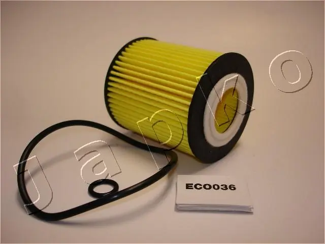 1ECO036 Japko