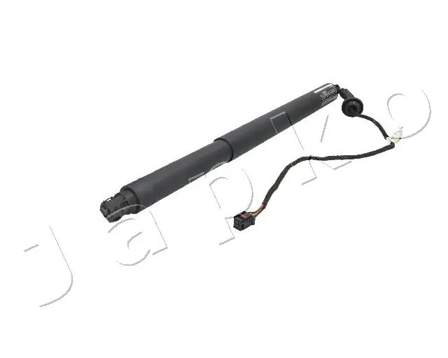 ZJ0301 Japko