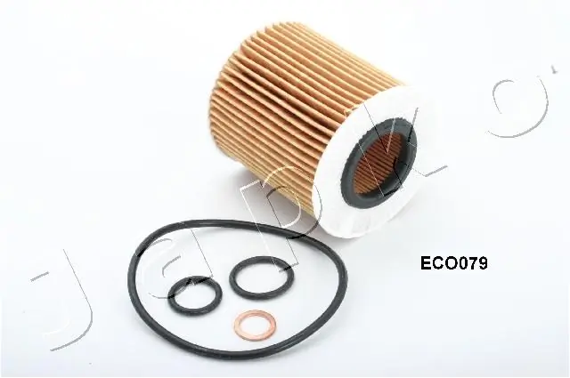 1ECO079 Japko