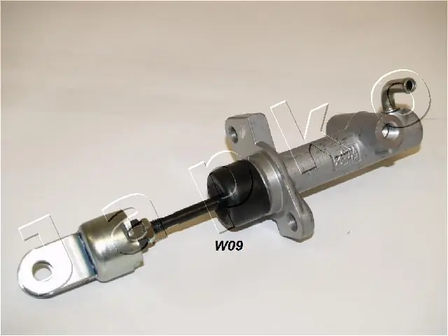 95W09 Japko