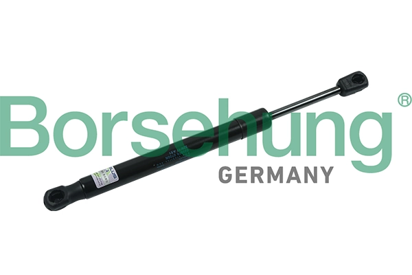 B18438 Borsehung