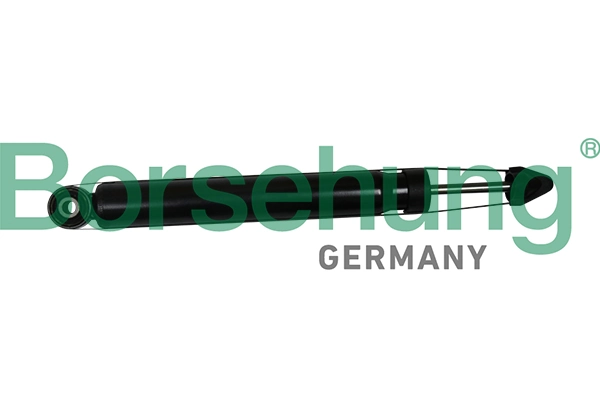 B19276 Borsehung