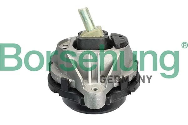 B12600 Borsehung