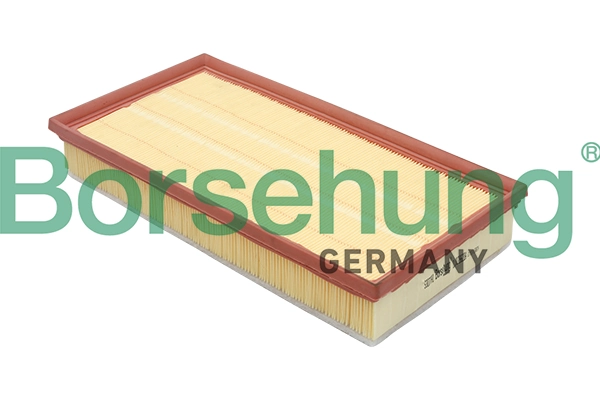 B12806 Borsehung