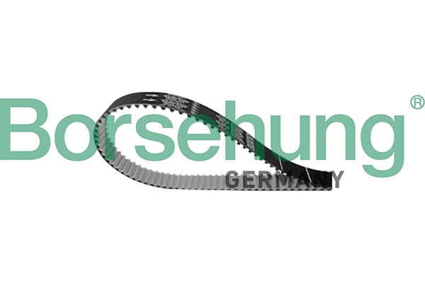 B10229 Borsehung