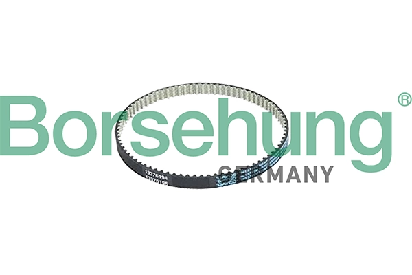 B10233 Borsehung