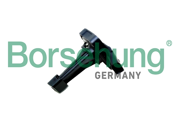 B18974 Borsehung