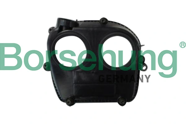 B12242 Borsehung