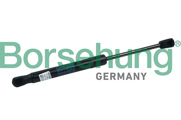 B18437 Borsehung