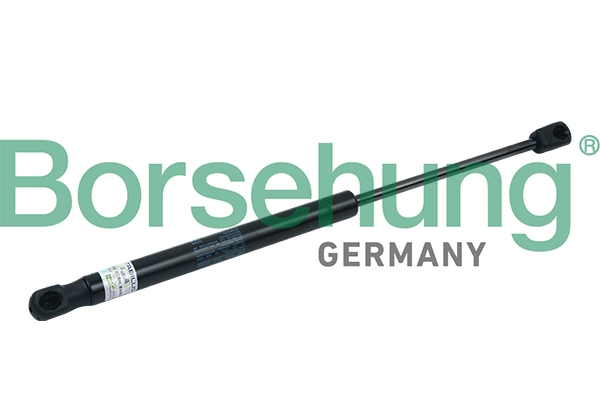 B18430 Borsehung