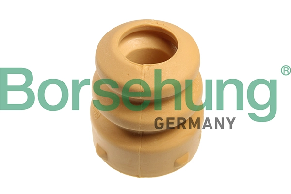 B10006 Borsehung