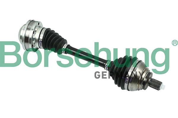 B18425 Borsehung