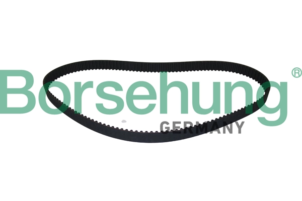 B10235 Borsehung