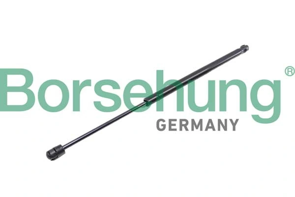 B12059 Borsehung