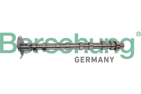 B11320 Borsehung