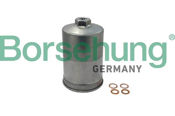 B19091 Borsehung