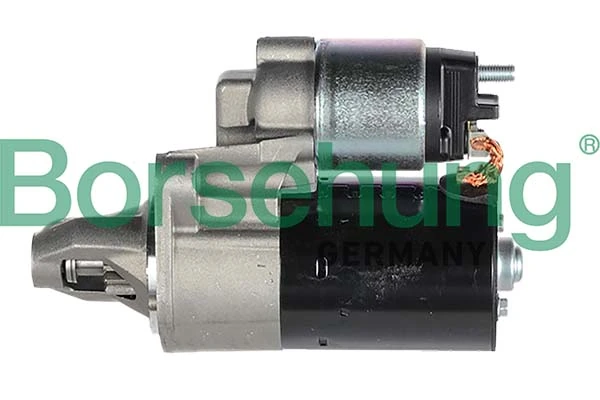 B12032 Borsehung