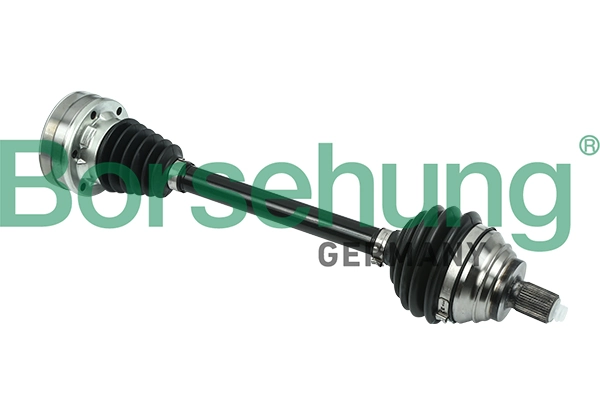 B18359 Borsehung