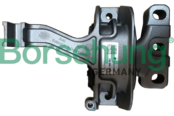 B19099 Borsehung