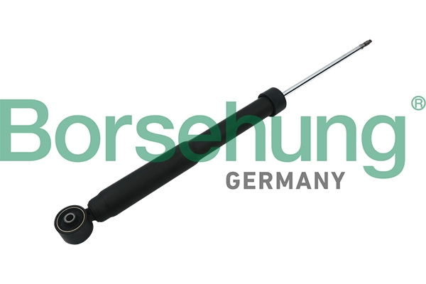 B17895 Borsehung