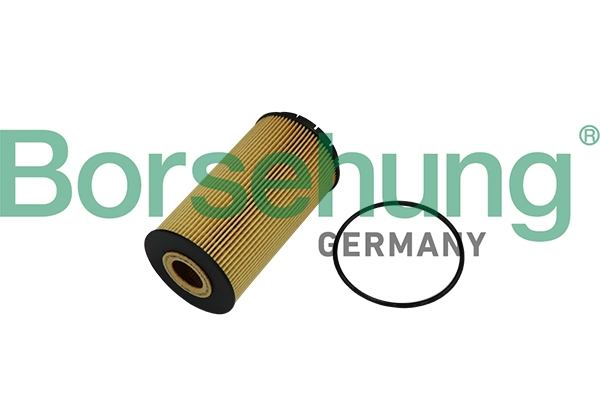 B10518 Borsehung