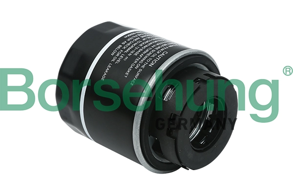 B12814 Borsehung