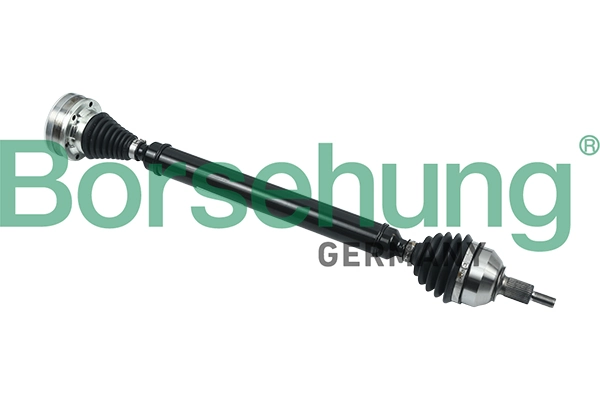 B18344 Borsehung
