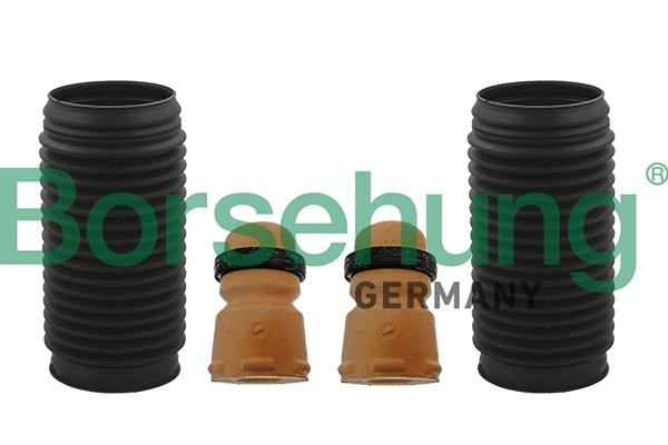 B10027 Borsehung