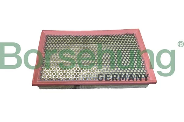 B12446 Borsehung