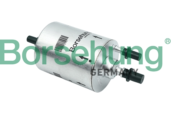 B12792 Borsehung