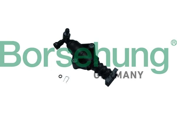 B17915 Borsehung