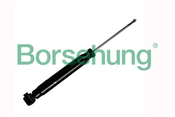 B12141 Borsehung