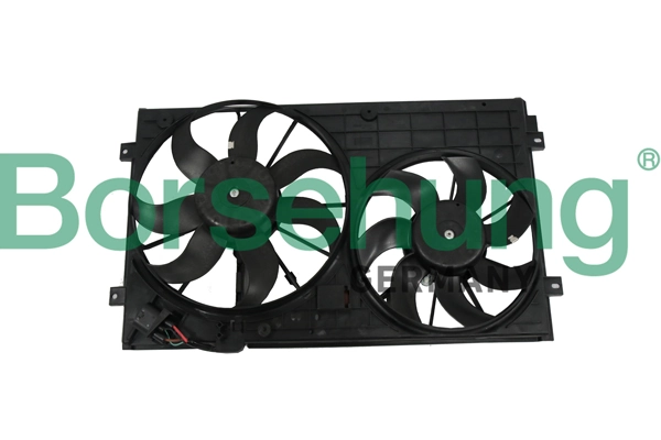 B11498 Borsehung