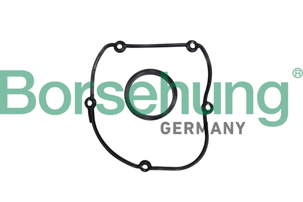 B10627 Borsehung