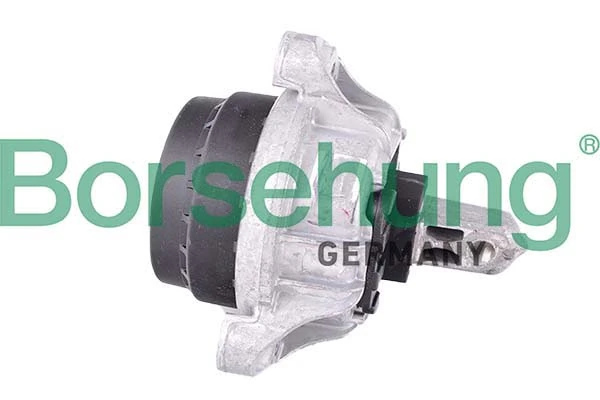 B12606 Borsehung