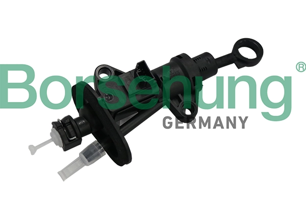 B19141 Borsehung
