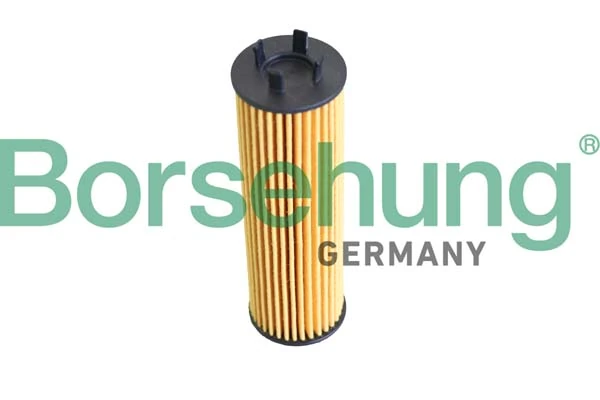 B12286 Borsehung