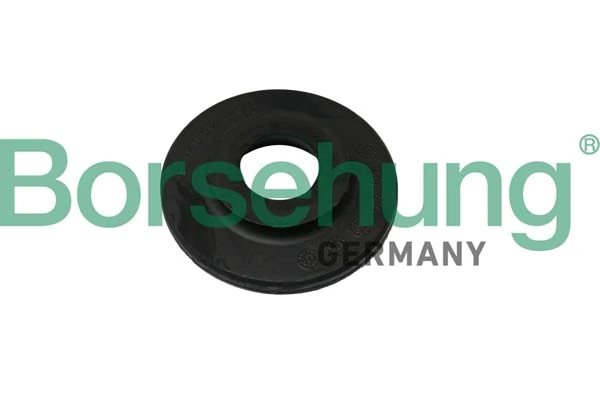 B11365 Borsehung