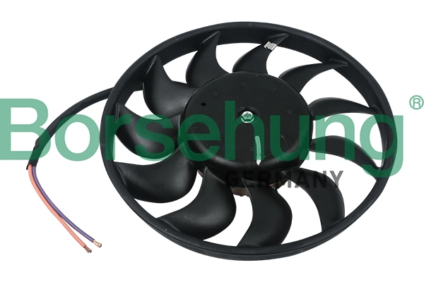 B11898 Borsehung