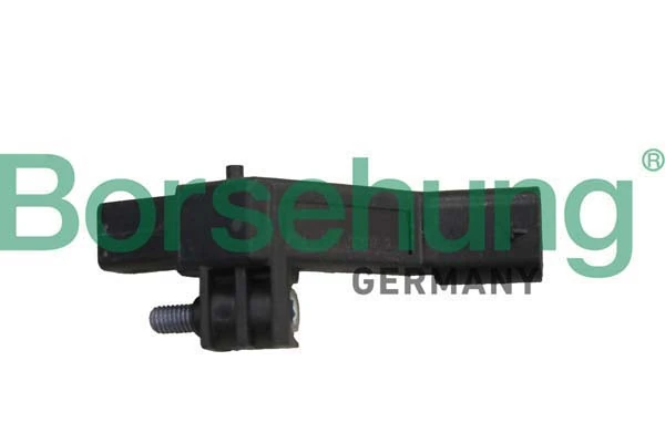 B12319 Borsehung