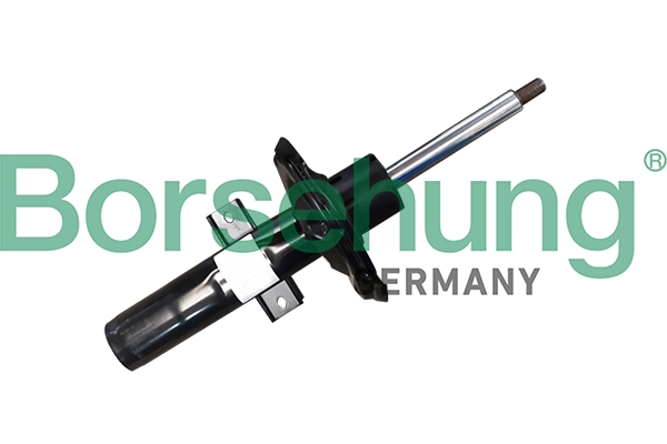 B11176 Borsehung