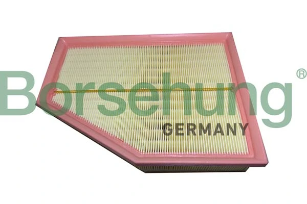 B12450 Borsehung