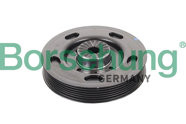 B19120 Borsehung