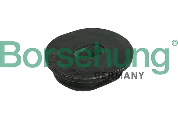 B11362 Borsehung