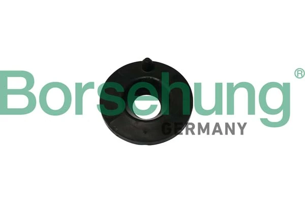B11367 Borsehung
