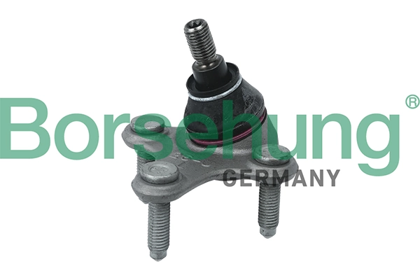 B11342 Borsehung