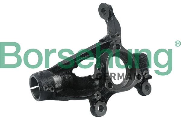 B18508 Borsehung